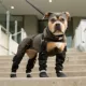 Product Canada Pooch Suspender Dog Boots - Short