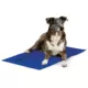 Product K&H Pet Products Coolin' Pet Pad Self-Cooling Pet Cushion