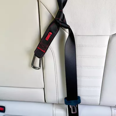 Product KONG Seat Belt Loop Tether