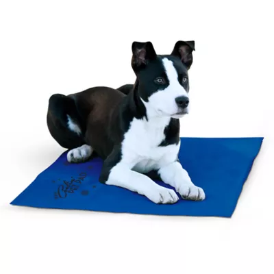 Product K&H Pet Products Coolin' Pet Pad Self-Cooling Pet Cushion