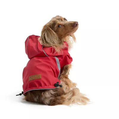 Product HOTEL DOGGY  Reversible Dog Raincoat