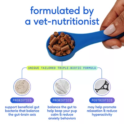 Product Native Pet GutWell Stress Support Anxiety Relief & Calming Supplement for Dogs 12.7 OZ