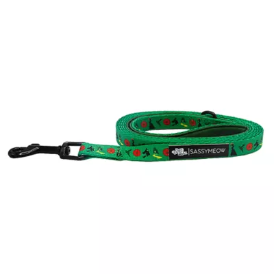 Product Sassy Meow Wicked Witch Cat Leash