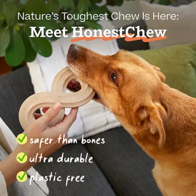Product WOOF HonestChew Antler