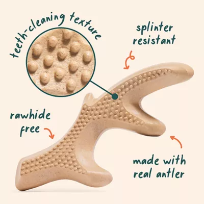 Product WOOF HonestChew Antler