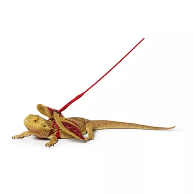 Product Merry & Bright® Reptile Festive Dragon Harness & Leash Set