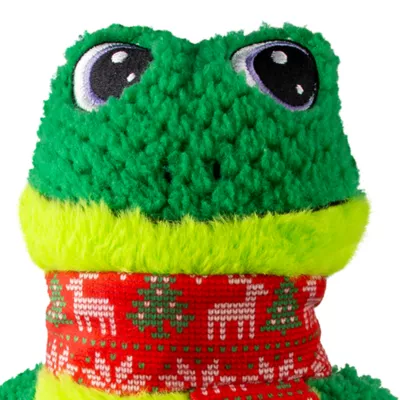 Product KONG® Holiday Knots Frog Large