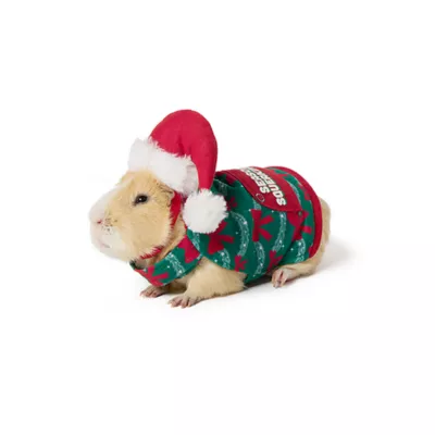 Product Merry & Bright® Small Pet Festive Pajamas