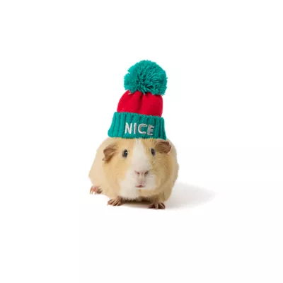 Product Merry & Bright® Small Pet Beanie