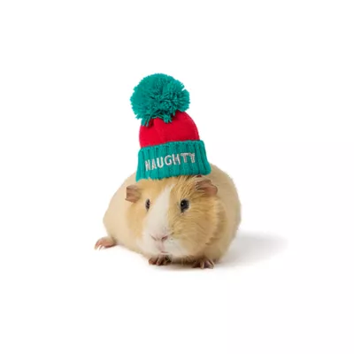 Product Merry & Bright® Small Pet Beanie
