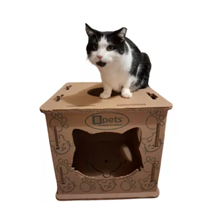Product PetPro Cardboard Cat House for Indoor Cats