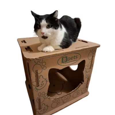 Product PetPro Cardboard Cat House for Indoor Cats