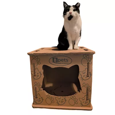 Product PetPro Cardboard Cat House for Indoor Cats