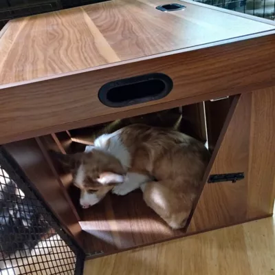 Product Lucky Kennels Penny Pet Crate
