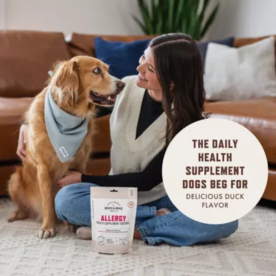 Product Rocco & Roxie Allergy Supplement for Dogs, 60 Count Soft Chews