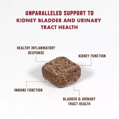 Product Rocco & Roxie Urinary Tract Supplement for Dogs, 60 Count Soft Chews