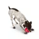 Product Merry & Bright® Holiday Nice Ball Toy