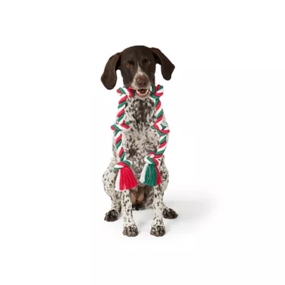 Product Merry & Bright® Knotted Rope Toy