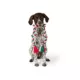 Product Merry & Bright® Knotted Rope Toy