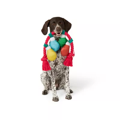 Product Merry & Bright® Knotted Rope Dog Toy