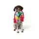 Product Merry & Bright® Knotted Rope Dog Toy