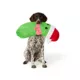 Product Merry & Bright® Holiday Plush Pickle Dog Toy