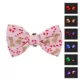 Product Merry & Bright® Light-Up Collar Slide