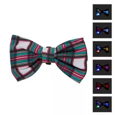 Product Merry & Bright® Light-Up Collar Slide