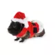 Product Merry & Bright® Small Pet Santa Holiday Costume