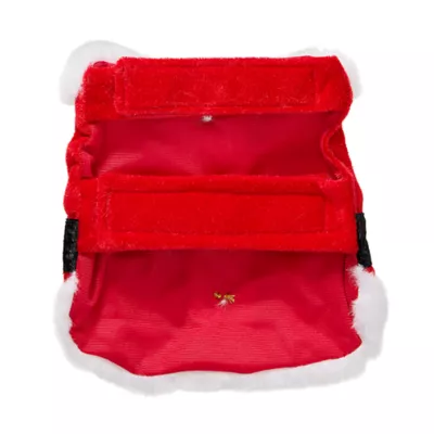 Product Merry & Bright® Small Pet Santa Holiday Costume