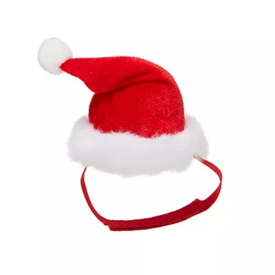 Product Merry & Bright® Small Pet Santa Holiday Costume
