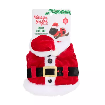 Product Merry & Bright® Small Pet Santa Holiday Costume