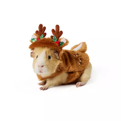 Product Merry & Bright® Small Pet Reindeer Holiday Costume