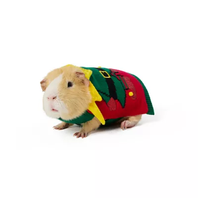 Product Merry & Bright® Small Pet Elf Sweater Holiday Costume