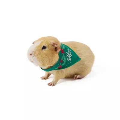 Product Merry & Bright® Small Pet Holiday Bandanas
