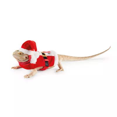 Product Merry & Bright® Holiday Reptile Costume
