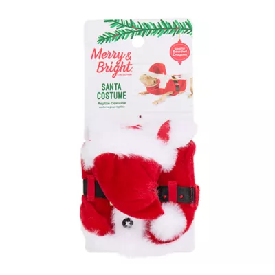 Product Merry & Bright® Holiday Reptile Costume