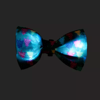 Product Merry & Bright® Light-Up Collar Slide