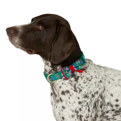 Product Merry & Bright® Trees Holiday Dog Collar