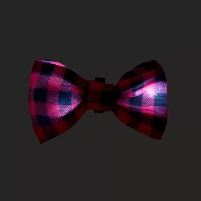 Product Merry & Bright® Light-Up Collar Slide