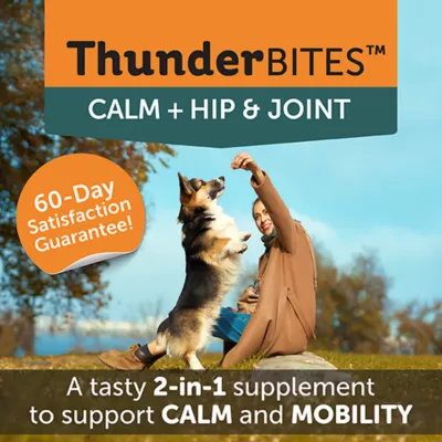 Product ThunderBites Calm + Hip & Joint Daily Soft Chews for Dogs, 90 Count
