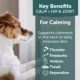 Product ThunderBites Calm + Hip & Joint Daily Soft Chews for Dogs, 90 Count