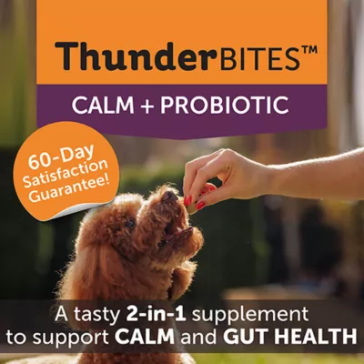 Product ThunderBites Calm + Probiotic Daily Soft Chews for Dogs, 90 Count
