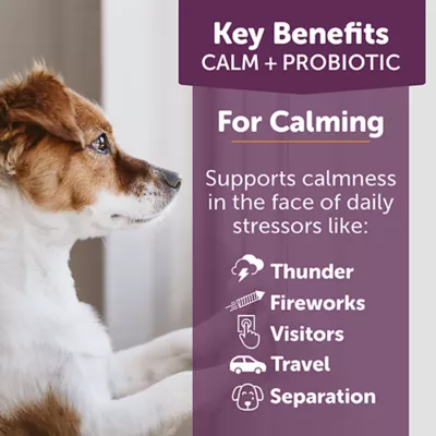 Product ThunderBites Calm + Probiotic Daily Soft Chews for Dogs, 90 Count
