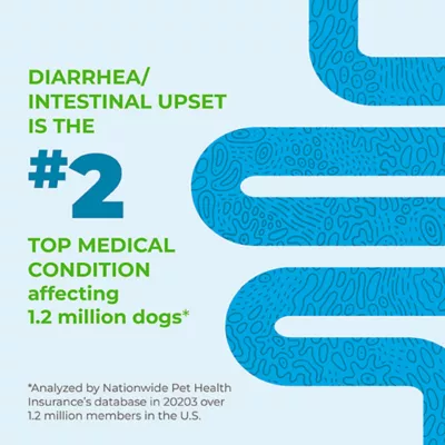 Product Glandex® Daily Prebiotic & Probiotic Soft Chews 60 Count