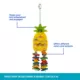 Product All Living Things® Pineapple Chew Bird Toy