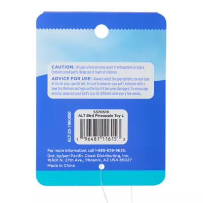 Product All Living Things® Pineapple Chew Bird Toy