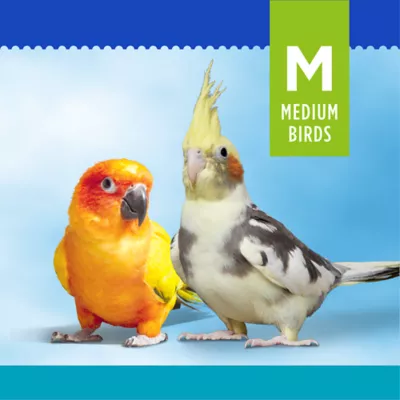 Product All Living Things® Knots & Blocks Preening Bird Toy