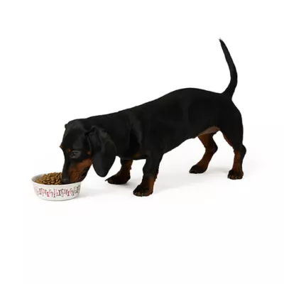 Product Merry & Bright® Holiday Bone Bowl