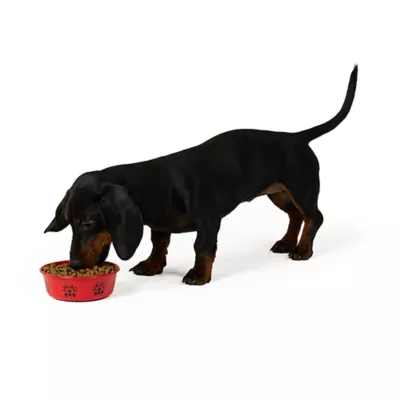 Product Merry & Bright® Buffalo Check Bowl